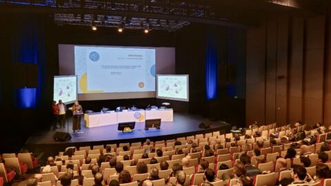 RADI-RAF 2025 : l’animation face à la crise, mais fidèle à sa créativité