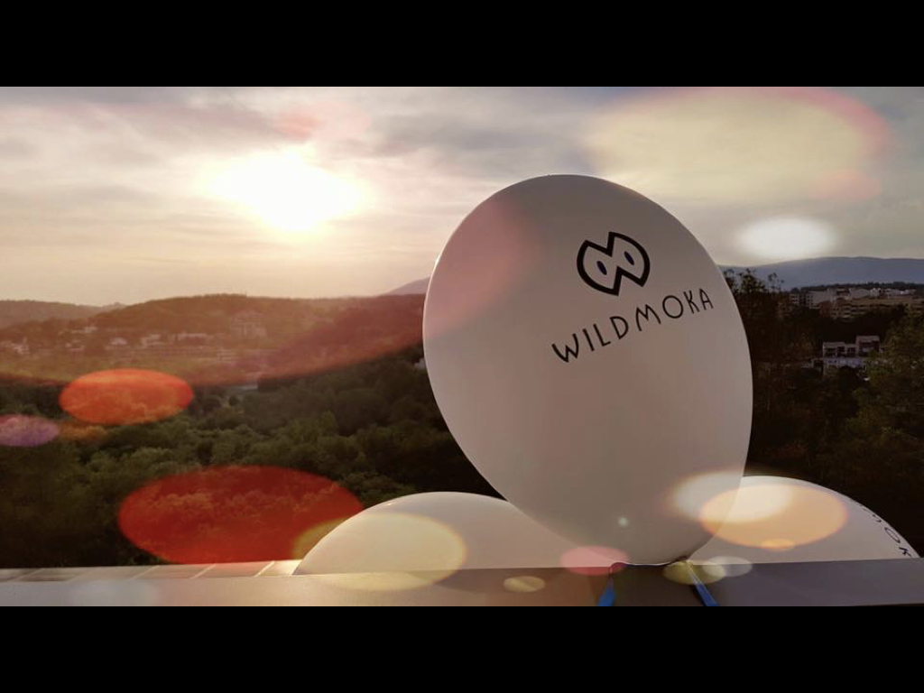 WildmokaBalloon.jpeg