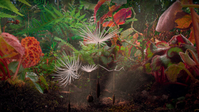 Dans le laboratoire cinématographique de « Planètes » de Momoko Seto
