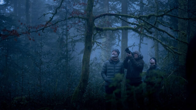 Vincent, Michel et Simon Munier dans les Vosges : « Le Chant des forêts » ( budget de 1 200 000 €) montre aussi une méthode de tournage fondée sur l’affût, la patience et l’effacement.